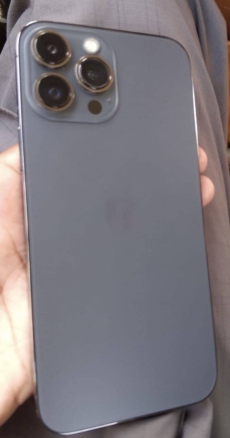 Apple iPhone 13 Pro Max 1
