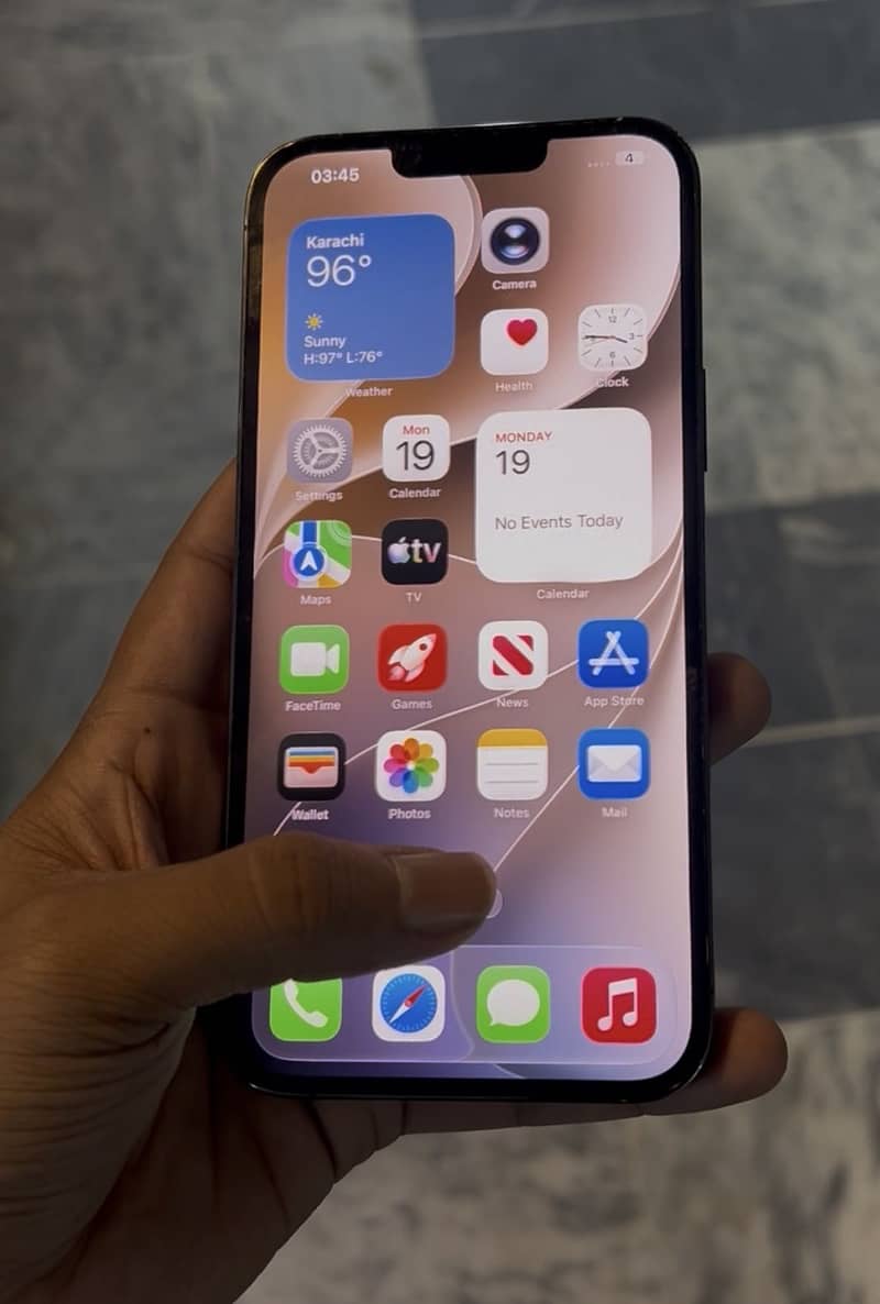 Apple iPhone 13 Pro Max 1