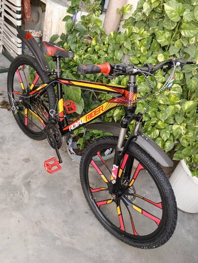 Aly Wheels imported cycle with historic suspensions and disk brakes