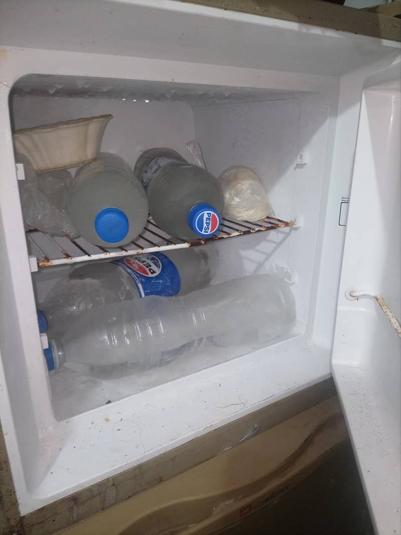 Dowlance Refrigerator 1