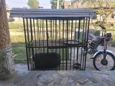 use panjra 2 step 1 months use