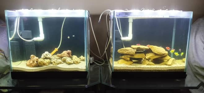 2 Fish tanks with same description