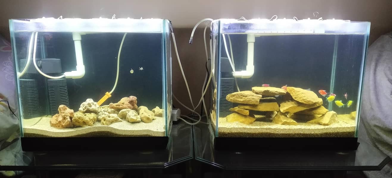 2 Fish tanks with same description 0