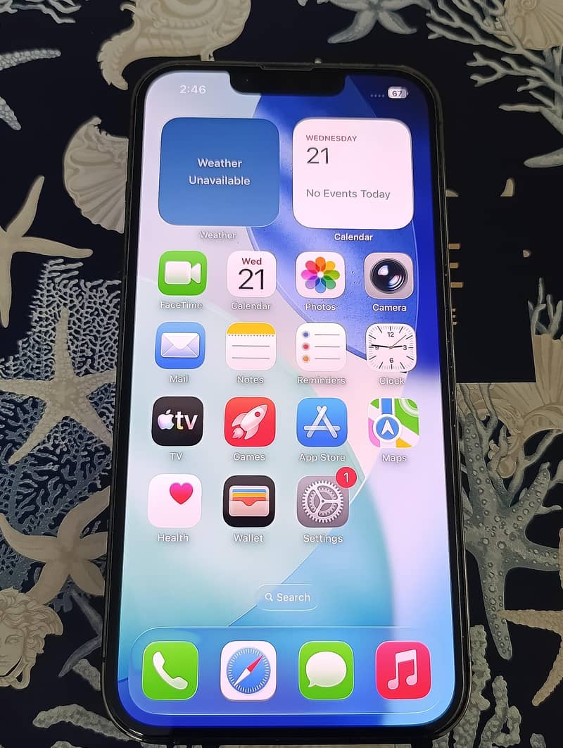 Apple iPhone 13 Pro 1