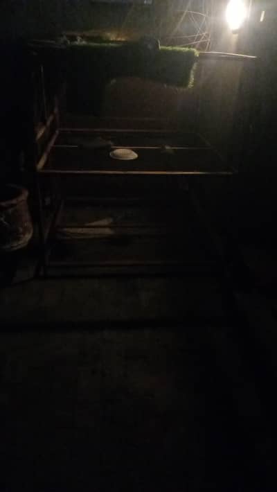 hens cages