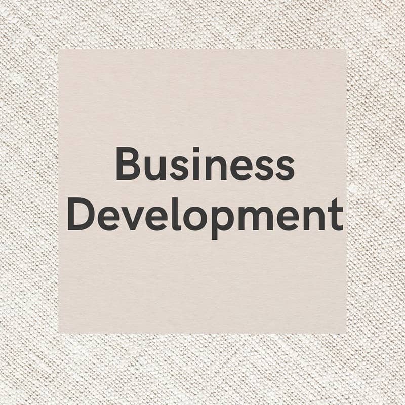 Business Development Expert 0