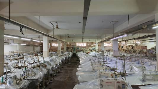 Complete Garments Cut to Pack Machines for Sale