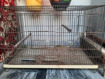 Parrot Cage