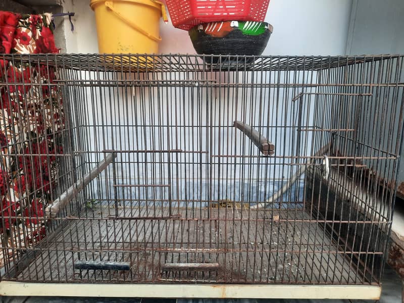 Parrot Cage 2