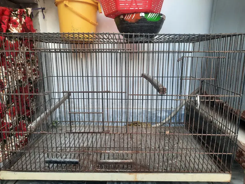 Parrot Cage — photo 3