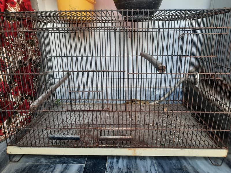 Parrot Cage 4