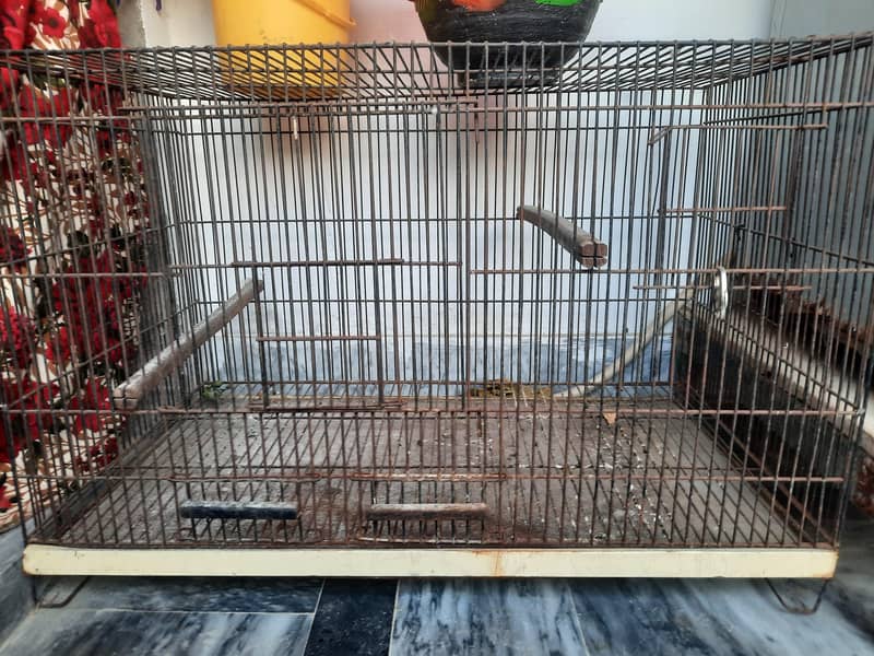 Parrot Cage 6