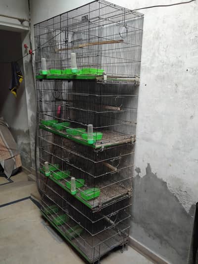 8 Portion Master Cage (18"x18" x18")