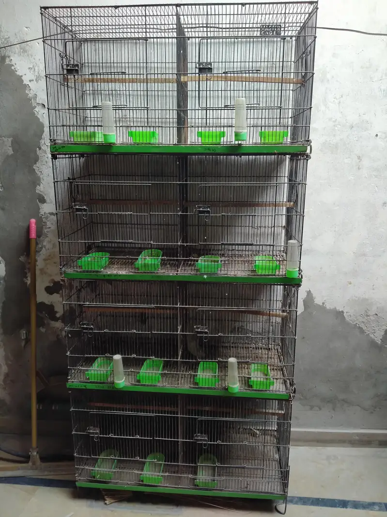 8 Portion Master Cage (18"x18" x18") — photo 2