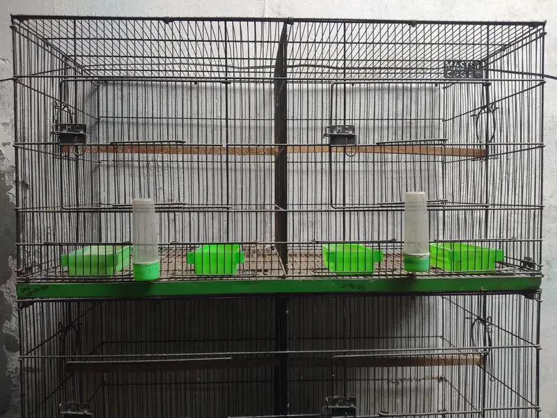 8 Portion Master Cage (18"x18" x18") — photo 4