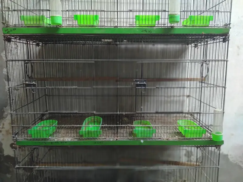 8 Portion Master Cage (18"x18" x18") — photo 5