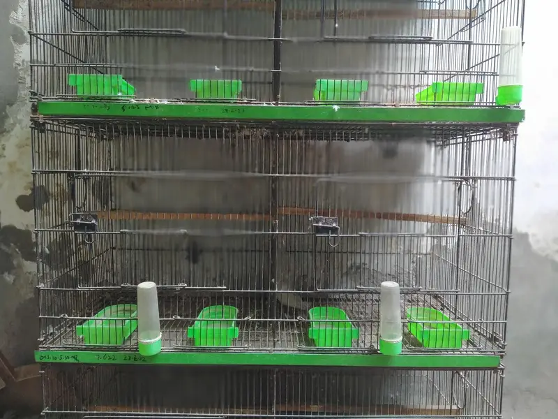 8 Portion Master Cage (18"x18" x18") — photo 6