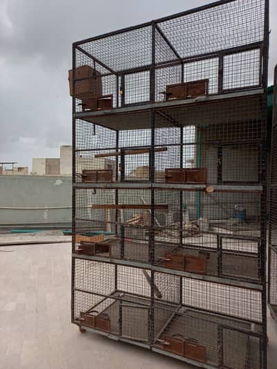 Breed Cage For Sale