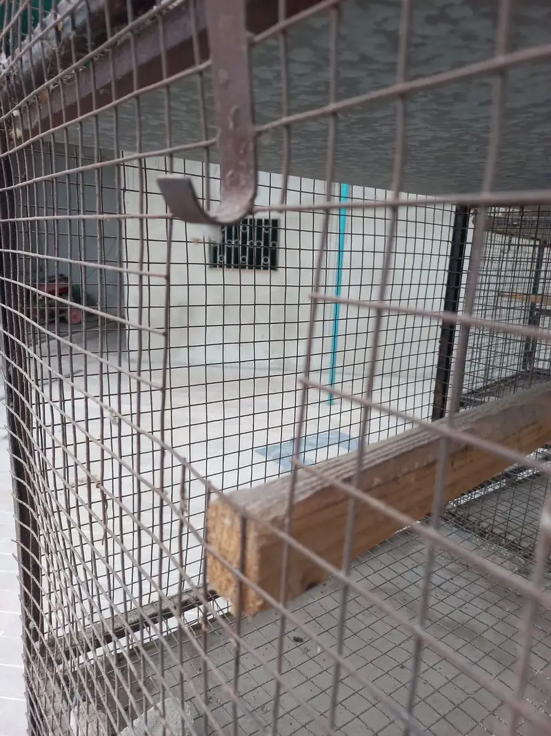 Breed Cage For Sale — photo 5