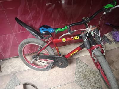 bicycle only 2 month used