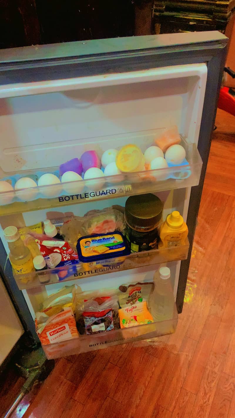 Fridge /refrigerator 2