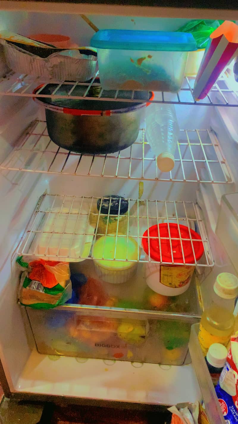 Fridge /refrigerator 4
