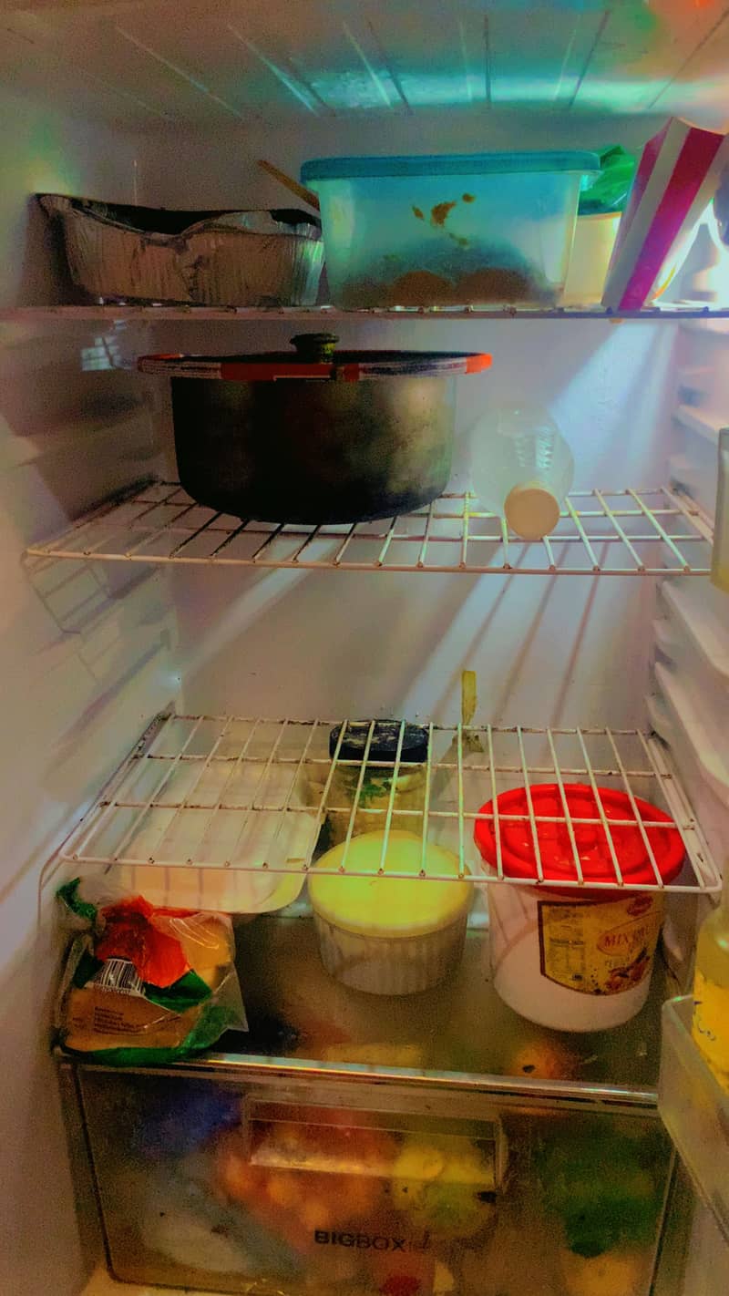 Fridge /refrigerator 5