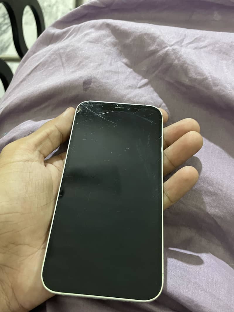 Apple iPhone 12 1