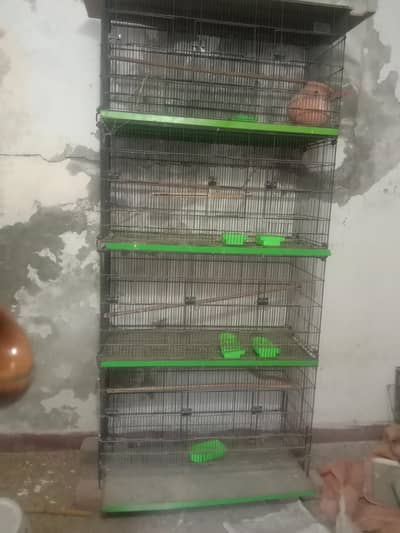 Parrot cages