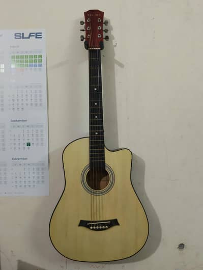 Xtreme Acoustic Guitar with Accessories