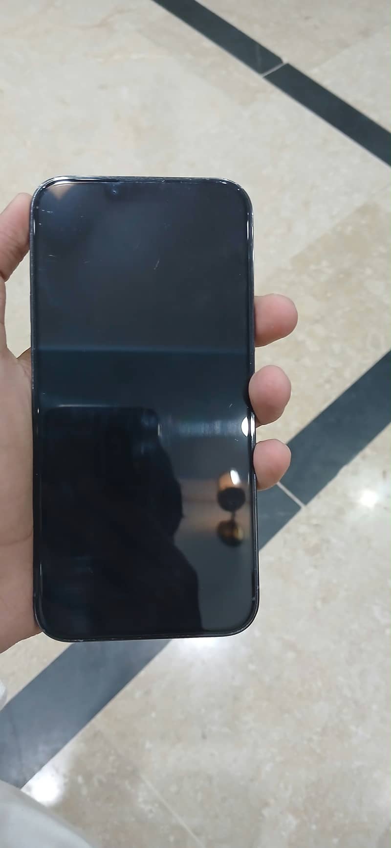 Apple iPhone 13 Pro Max Jv 2