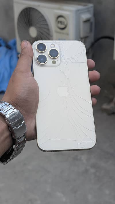 Apple iPhone 13 Pro Max