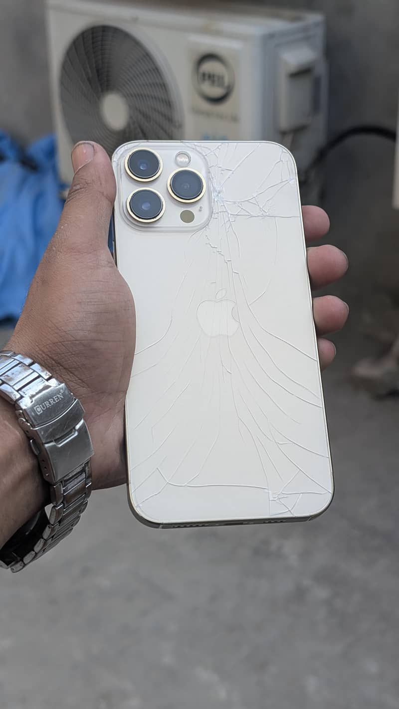 Apple iPhone 13 Pro Max 0