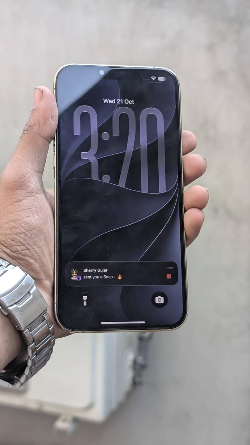 Apple iPhone 13 Pro Max 1