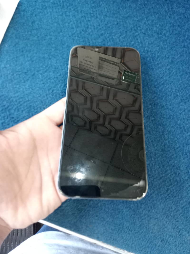 Apple iPhone 13 Pro Max 1