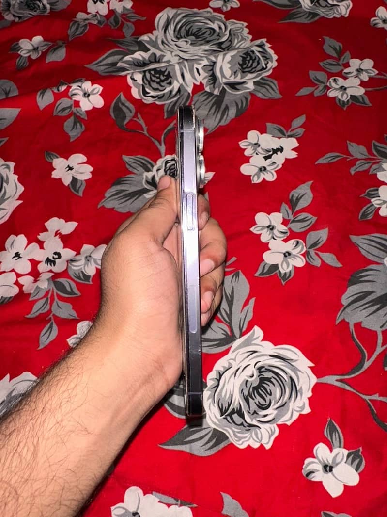 Apple iPhone 14 Pro Max 3