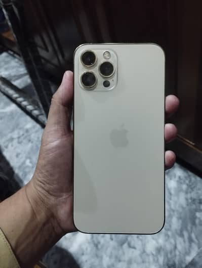 Apple iPhone 12 Pro Max