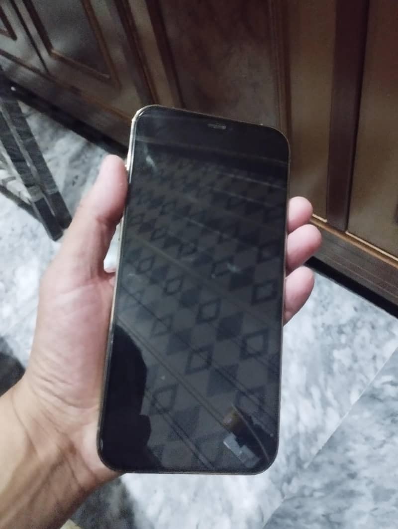 Apple iPhone 12 Pro Max 1