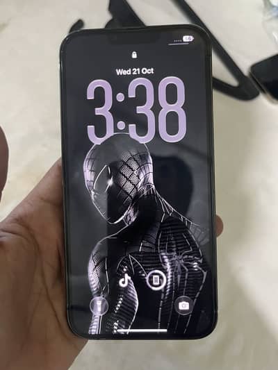 Apple iPhone 13 Pro Max