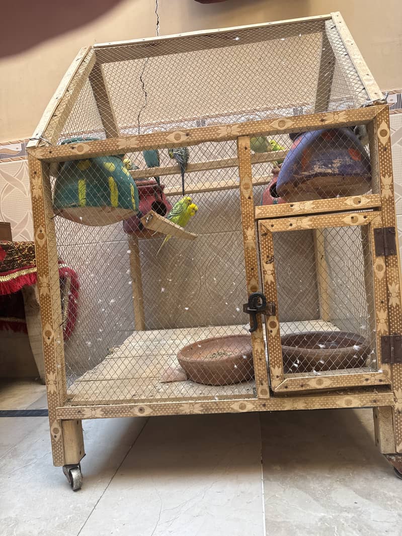 Budgie plus cage 0