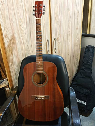 Accoustic Guitar