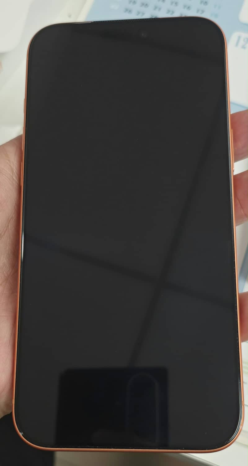 Apple iPhone 17 Pro Max 13