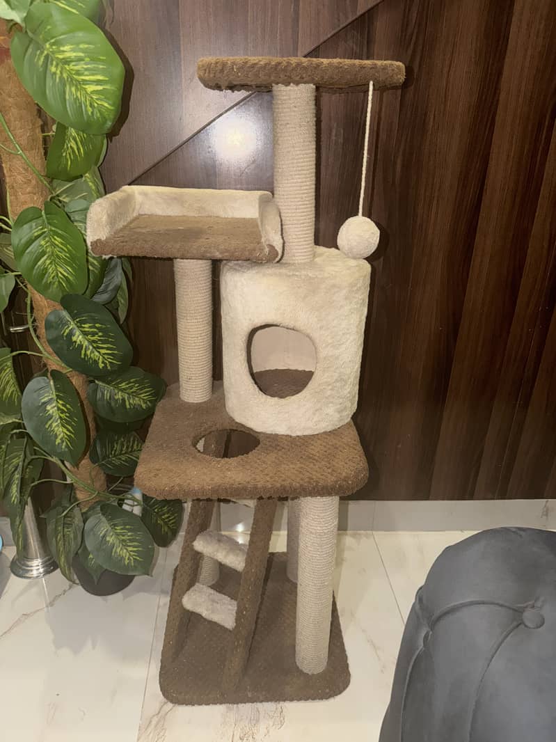 Cat house 0