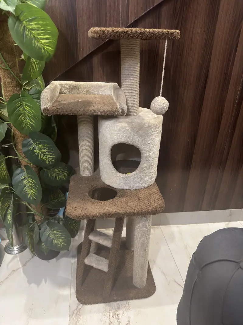 Cat house — photo 2