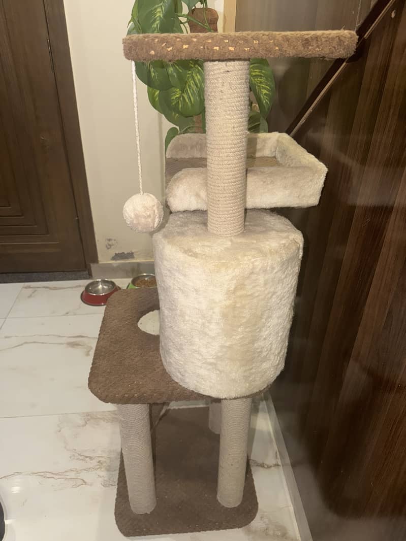 Cat house 2