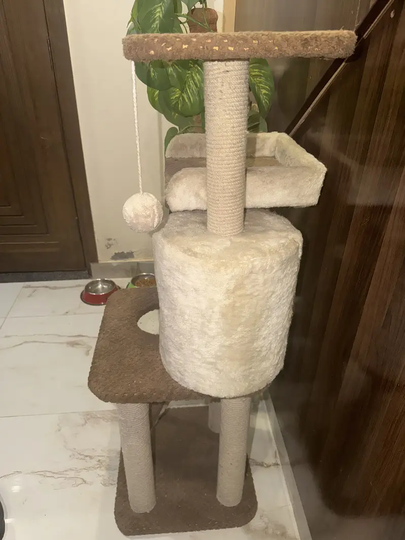 Cat house — photo 3