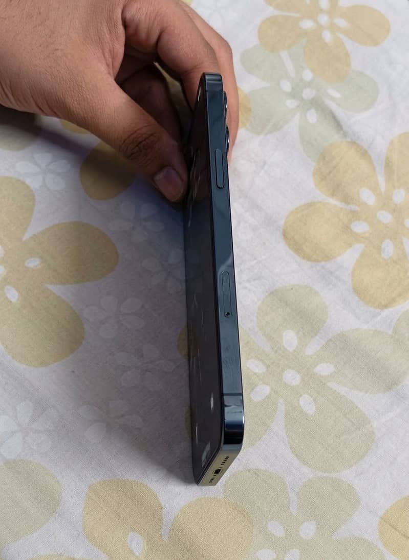 Apple iPhone 12 Pro Max 1
