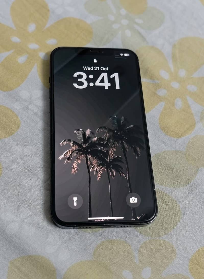 Apple iPhone 12 Pro Max 2