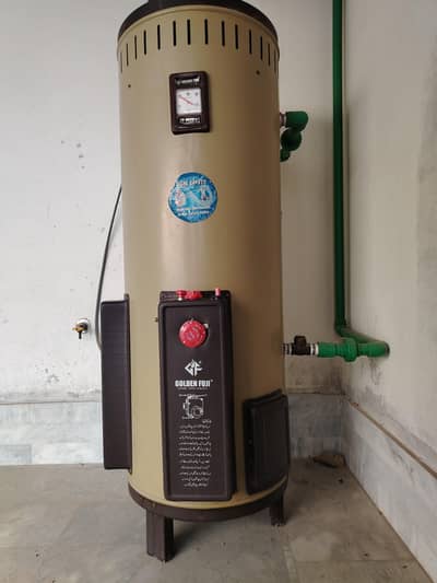 Dual option (Electric+Gas) 40 Gallon Geyser