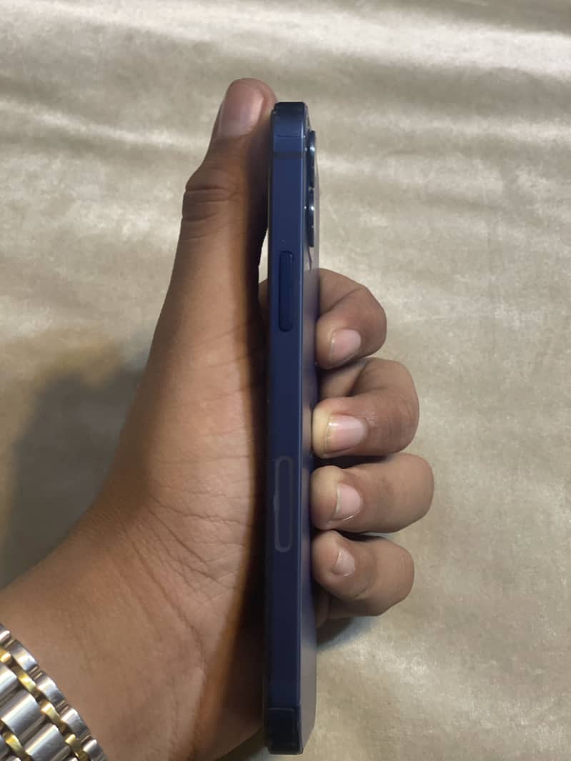 Apple iPhone 12 1